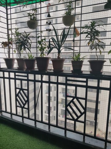 Balcony in 3 BHK Apartment at Jm Orchid, Sector 76 – for Rent