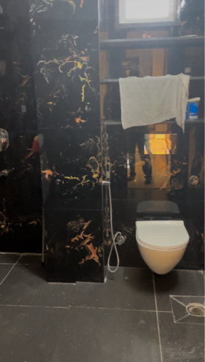 Bathroom in 4 BHK Builder Floor at Palam Vihar – for Sale