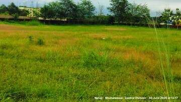 Plot Area in  Industrial Plot at Mendhasala – for Rent