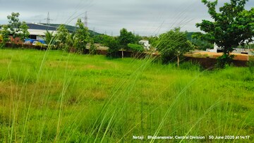 Plot Area in  Industrial Plot at Mendhasala – for Rent