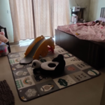 2.5 BHK 1430 Sq.Ft. Apartment in ILD Greens