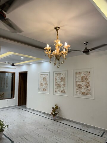 Living Room in 3 BHK Builder Floor at Krishna Park – for Sale