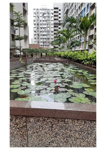 2 BHK Apartment – Exterior View View at Shela - for Sale