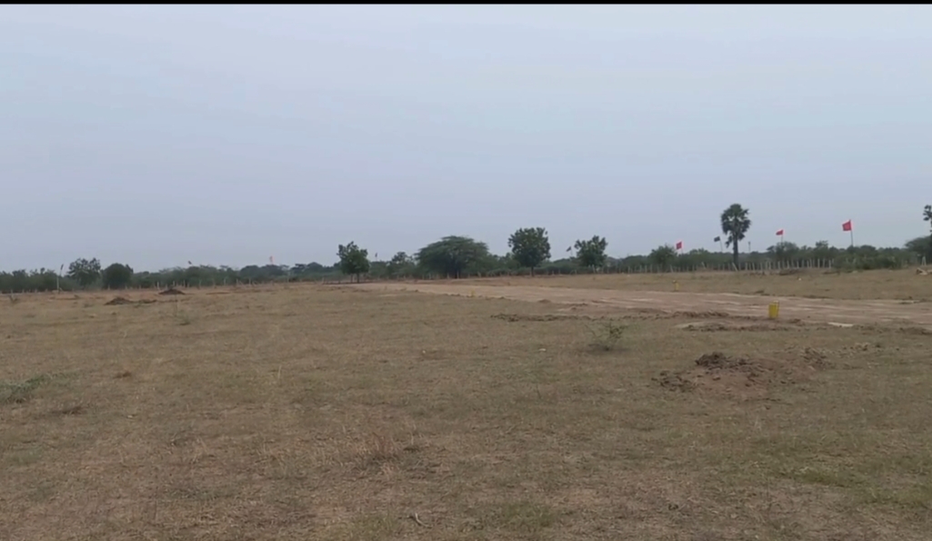 Plot For Sale in Sanjeeva Reddy Nagar
