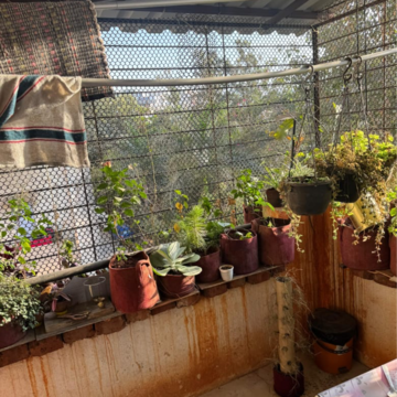 2 BHK Apartment – Exterior View View at Anita Residency, Vighnaharta Nagar - for Rent