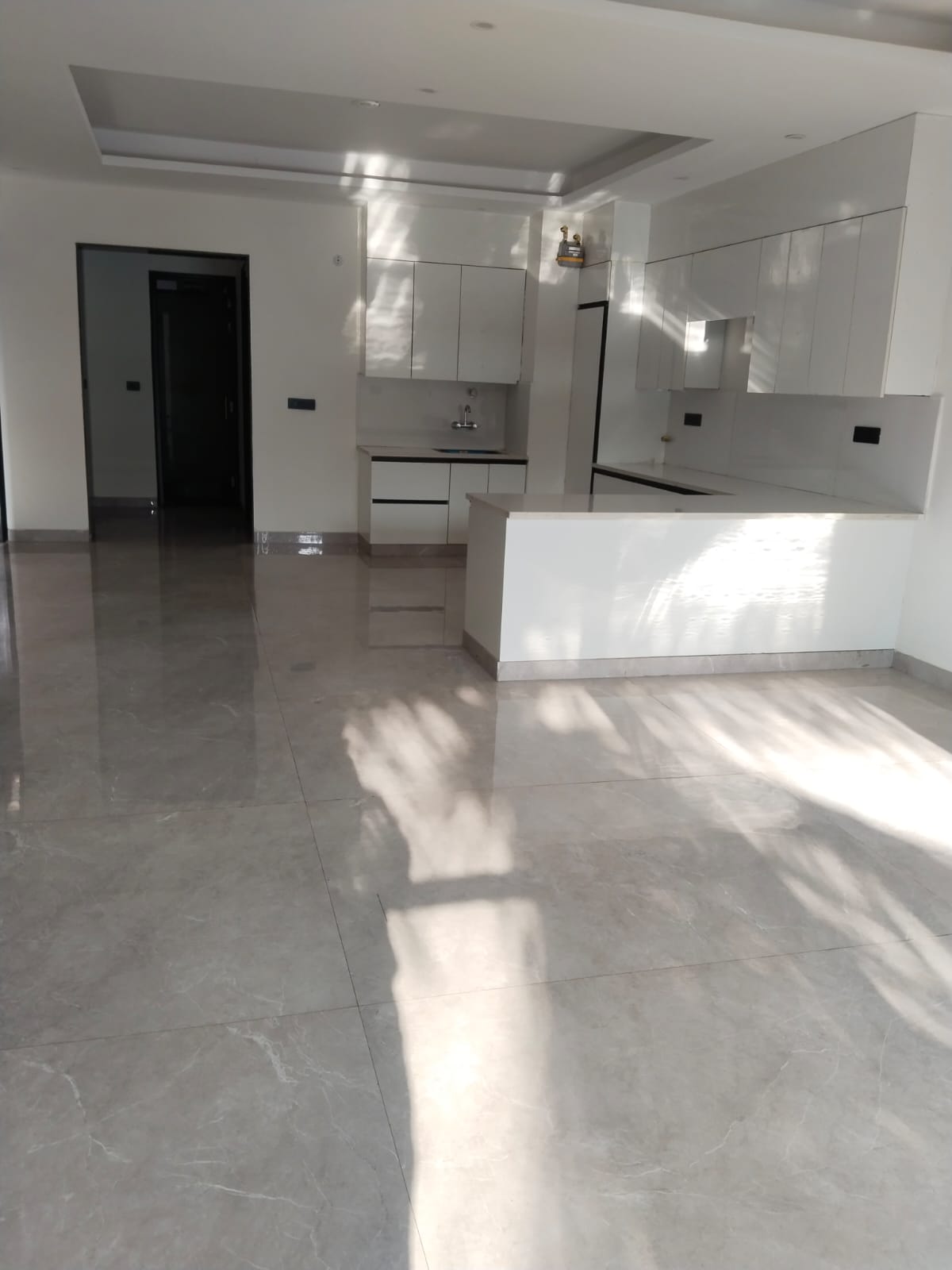 3 BHK Builder Floor For Rent in Sector 40