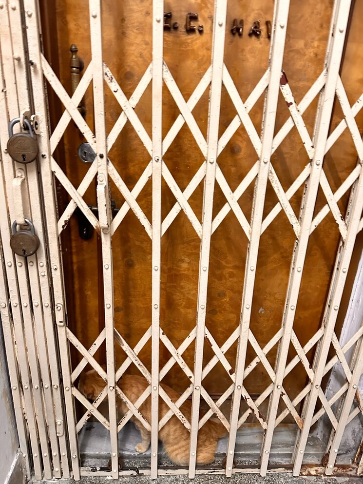 Exterior View, phoolbagan 2 Bedroom 780 Sq.Ft. Apartment In Phoolbagan Kolkata 9032046