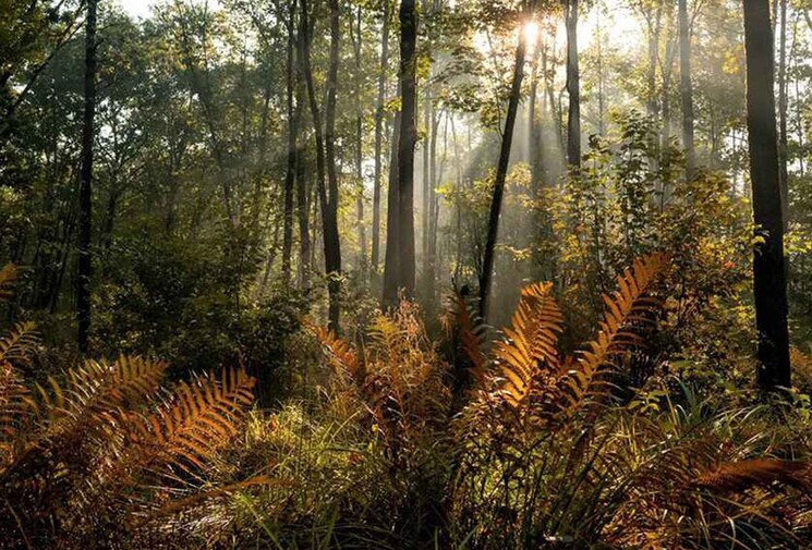 Exterior View, godrej-aristocrat 3 Bedroom 2514 Sq.Ft. Apartment In Sector 49 Gurgaon 9032254