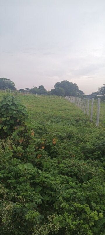  Land For Sale in Machohalli