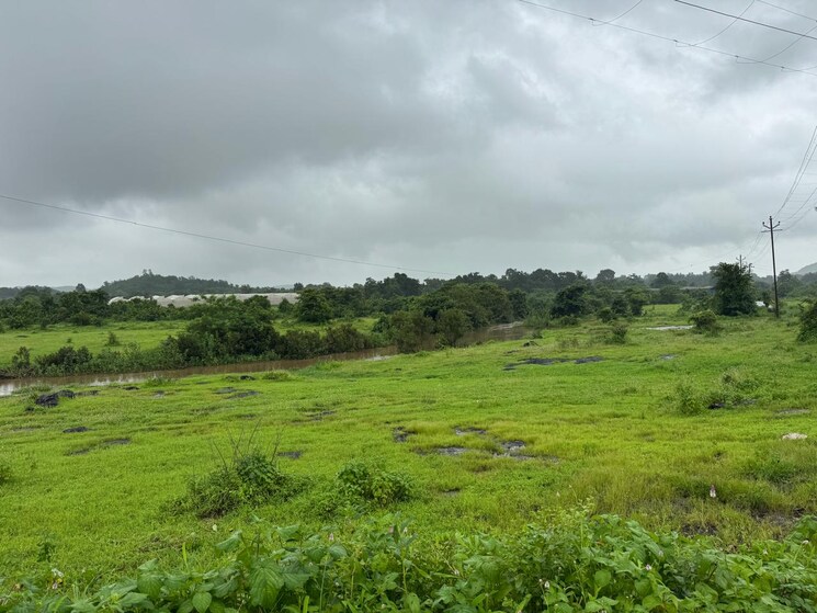 undefined, elixir-kerala-village  544500 Sq.Ft. Plot In Shahapur Thane 9032654