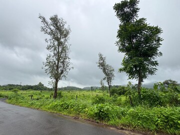 Plot Area in  Plot at Elixir Kerala Village, Shahapur – for Sale