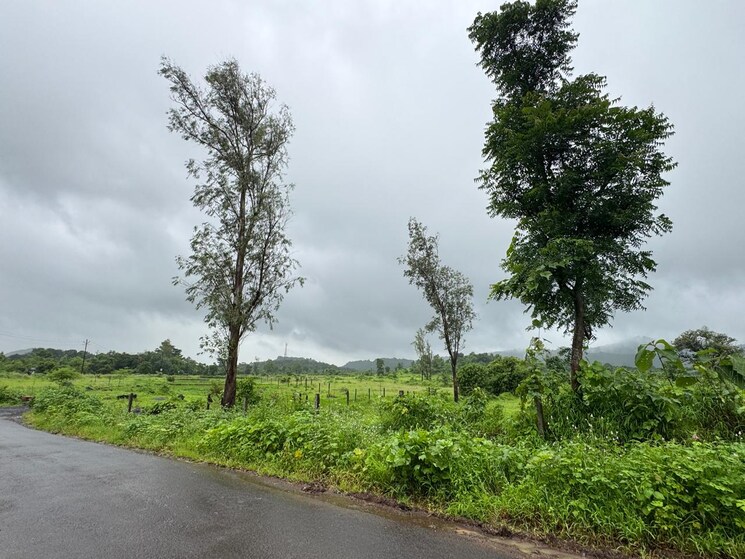 undefined, elixir-kerala-village  544500 Sq.Ft. Plot In Shahapur Thane 9032654