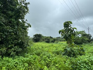  Plot – Garden View at Elixir Kerala Village, Shahapur - for Sale