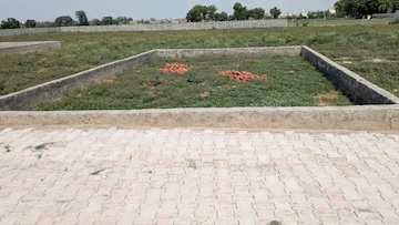 Plot Area in  Plot at Sector 137 – for Sale