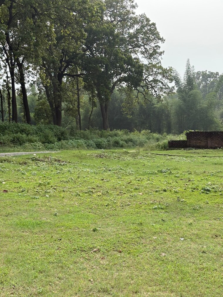 Garden, sherpur  297 Sq.Yd. Plot In Sherpur Dehradun 9032602