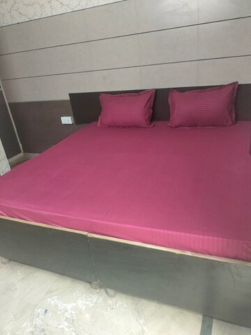  Pg For Rent in Hoshiyarpur