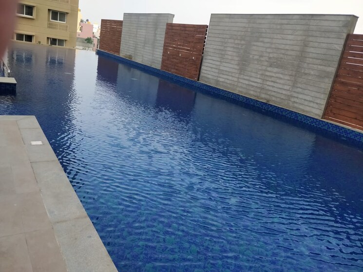 Swimming Pool, prestige-gulmohar 3 Bedroom 1662 Sq.Ft. Apartment In Horamavu Bangalore 9032773