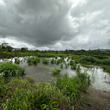 Plot Area in  Plot at Maval – for Sale