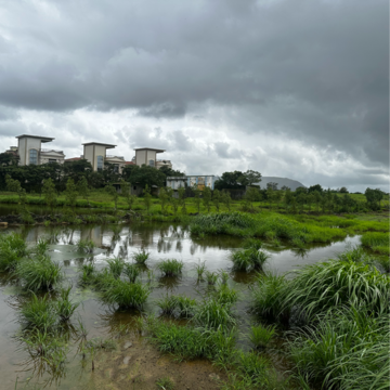 Plot Area in  Plot at Maval – for Sale