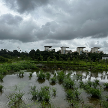 Plot Area in  Plot at Maval – for Sale