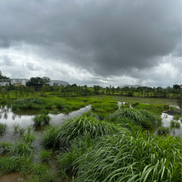 Plot Area in  Plot at Maval – for Sale