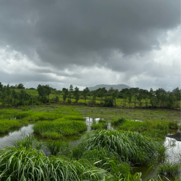  Plot For Sale in Maval