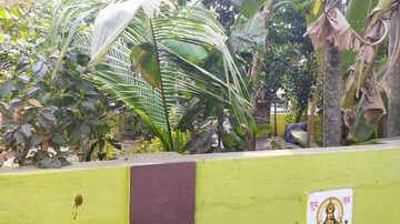  Plot – Exterior View View at Bidhanpally - for Sale