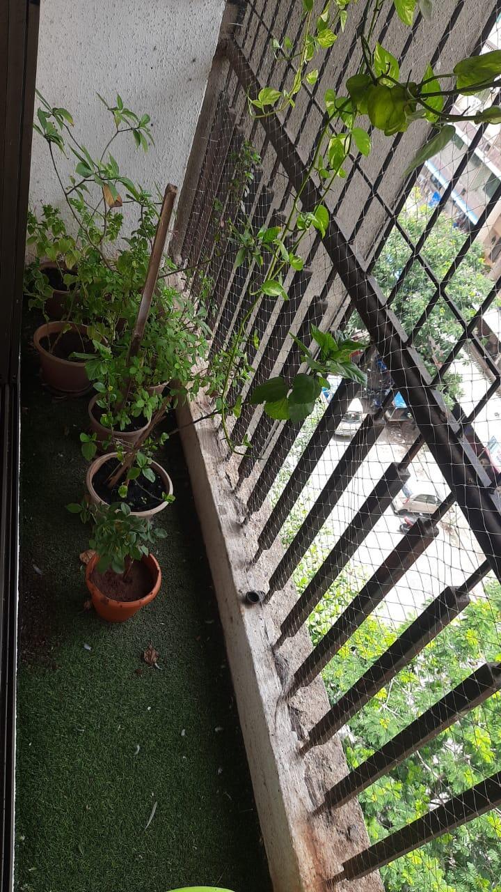 1 BHK Apartment For Sale in Ideal Enclave