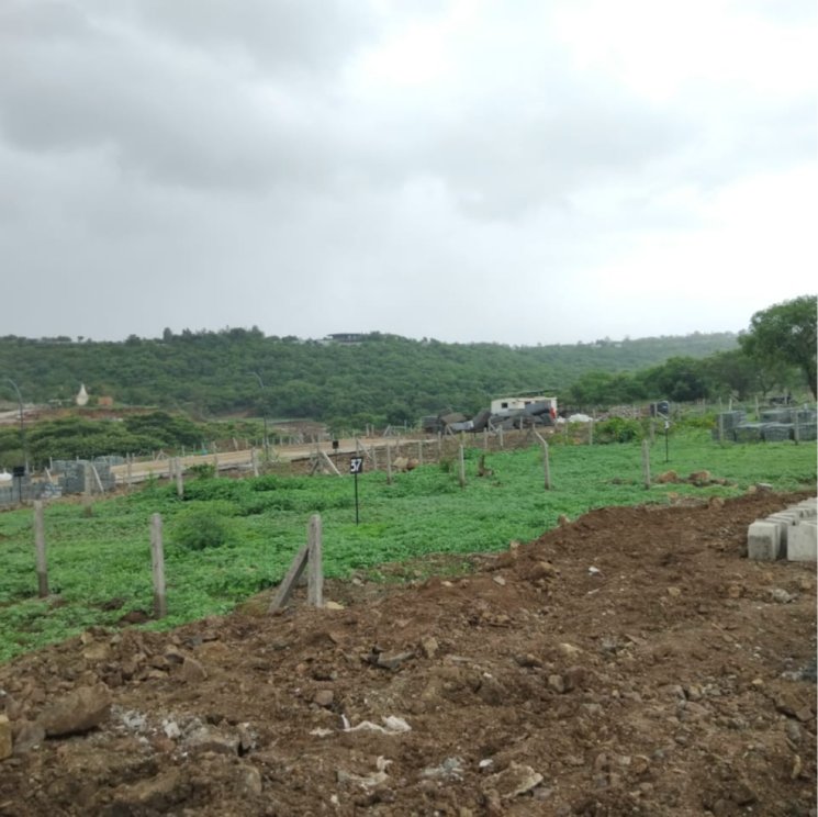 undefined, sairung-srushti  3000 Sq.Yd. Plot In Marunji Pune 9033067