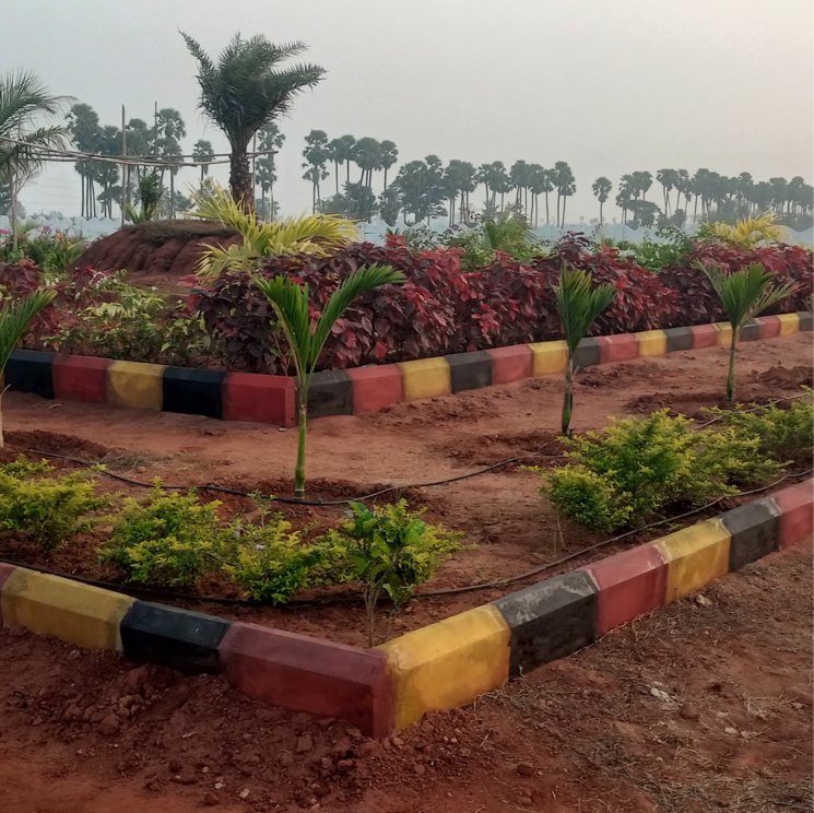 Garden, mangalagiri  240 Sq.Yd. Plot In Mangalagiri Vijayawada 9033101