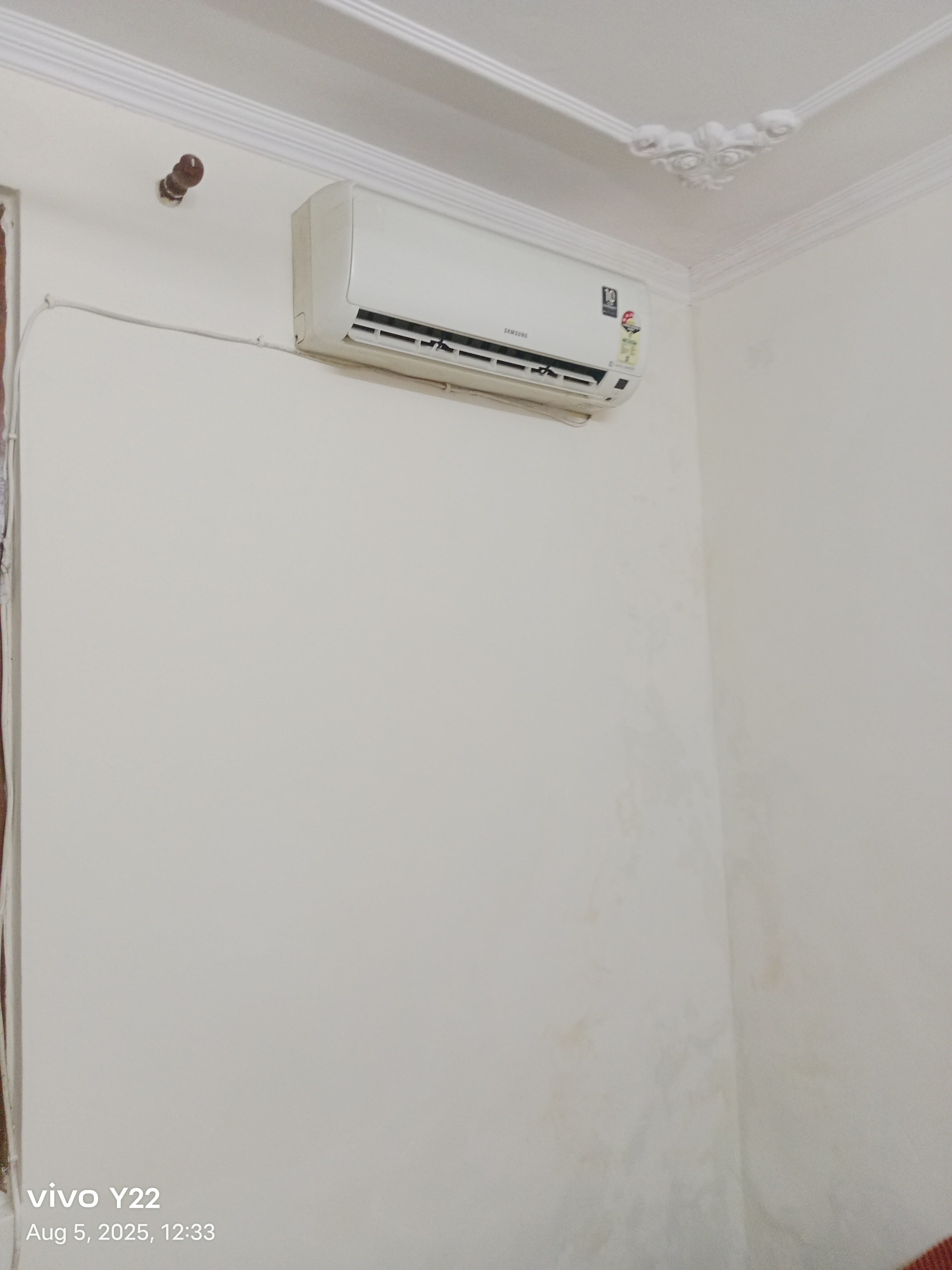 2 BHK Builder Floor For Rent in Shri Balaji Associates 