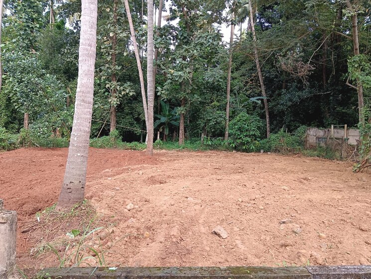 undefined, thrissur road  3484 Sq.Ft. Plot In Thrissur Road Thrissur 9033242