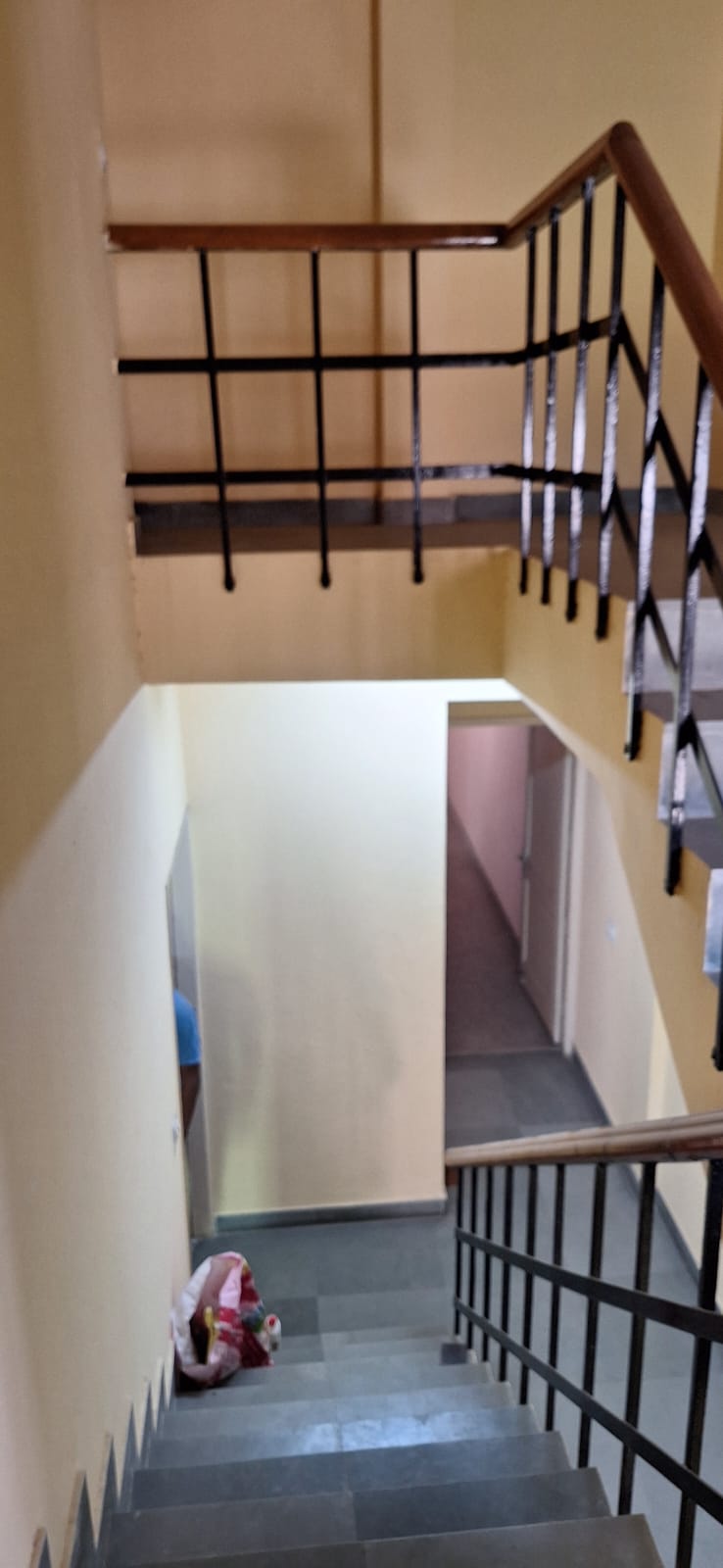 3 BHK + Extra Room Apartment For Sale in Smiriti Apartment