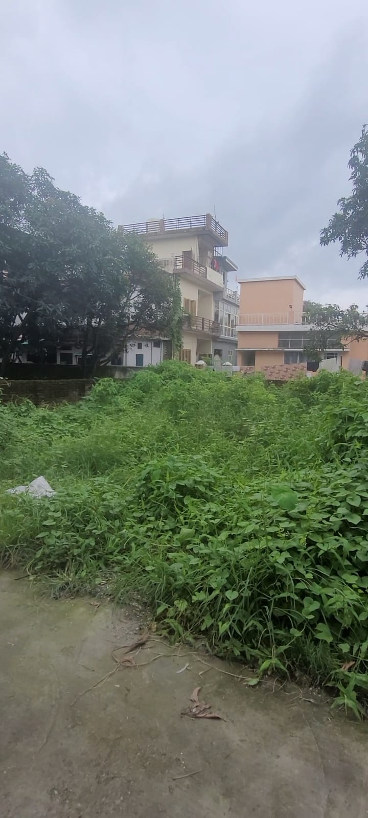 Plot For Sale in Tch