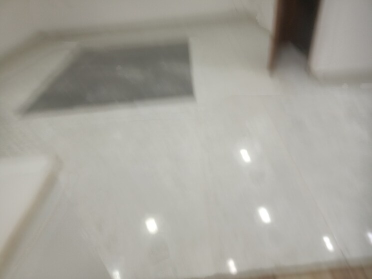 Room, vasant kunj enclave 3 Bedroom 1100 Sq.Ft. Builder Floor In Vasant Kunj Enclave Delhi 9033512