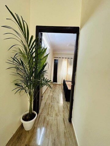 1 BHK Builder Floor For Rent in Saket