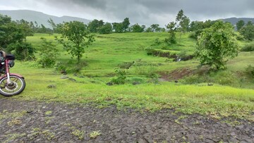 Plot Area in  Plot at Bhor – for Sale