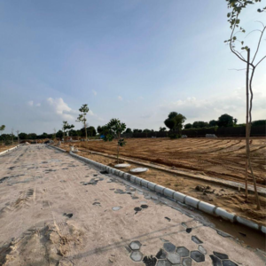 Plot Area in  Plot at Anukriti  Garden 41, Dcm – for Sale