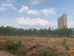  Plot For Sale in Dodda Aalada Mara Road