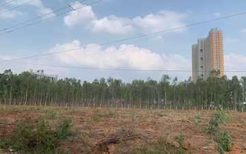 Plot For Sale in Dodda Aalada Mara Road