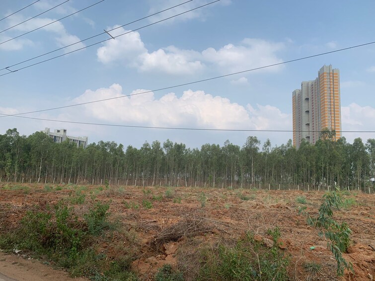 Cover Image, dodda aalada mara road  10 Acre Plot In Dodda Aalada Mara Road Bangalore 9033867