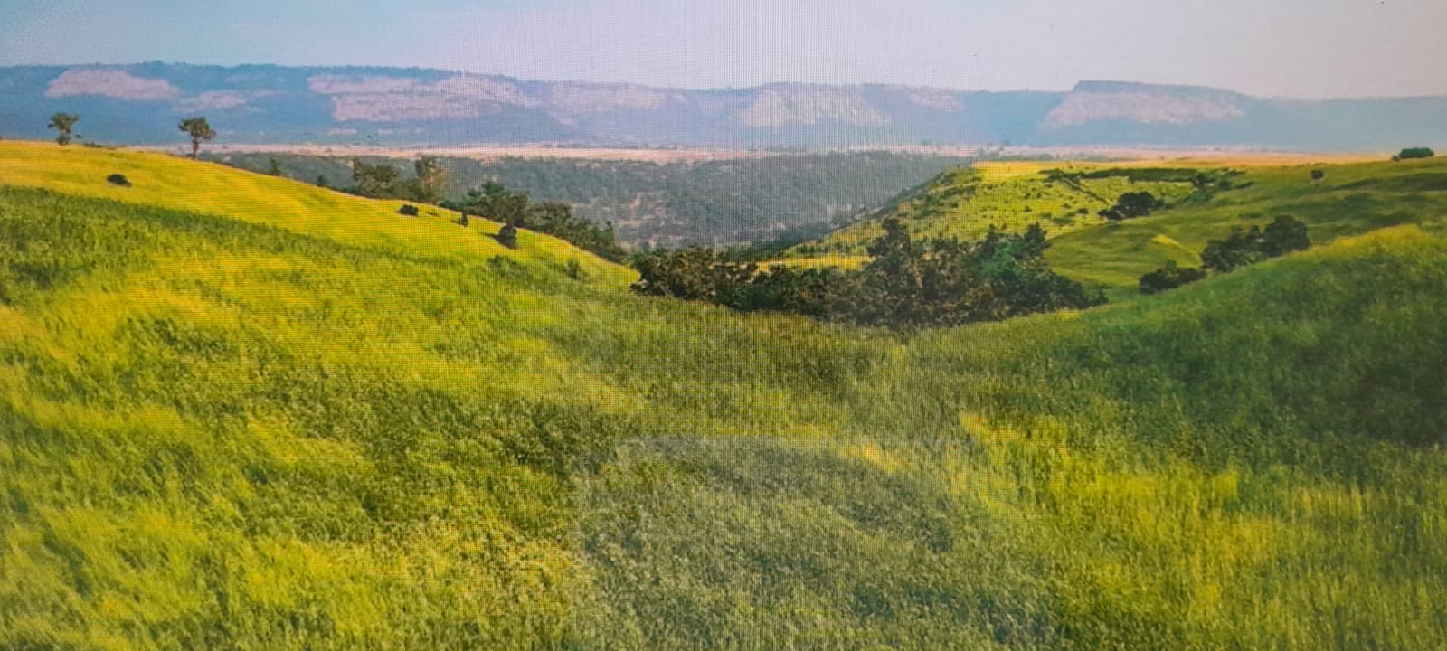 2 BHK 559 Sq.Ft. Apartment in Satra Nexus