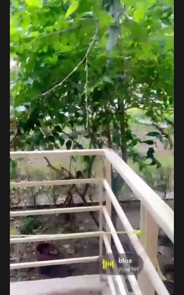 Balcony in 3.5 BHK Apartment at Paras Seasons, Sector 168 – for Rent