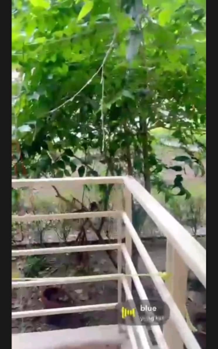 Balcony, paras-seasons 3.5 Bedroom 1695 Sq.Ft. Apartment In Sector 168 Noida 9034127