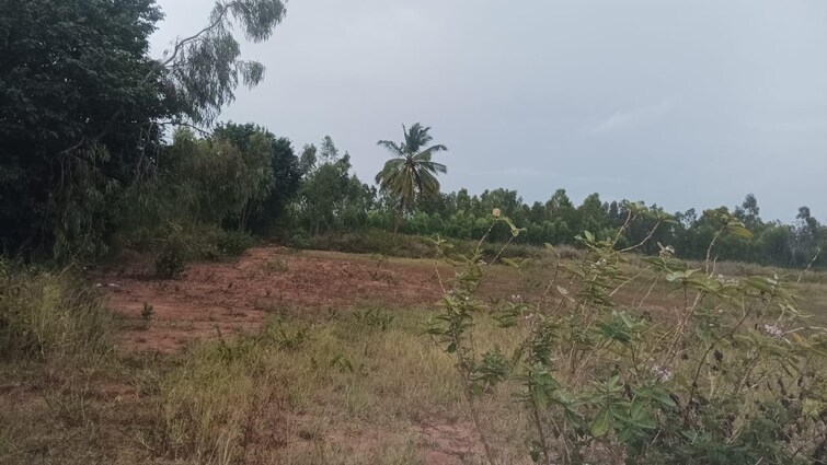 Cover Image, dodda aalada mara road Commercial Land 10 Acre In Dodda Aalada Mara Road Bangalore 9034168