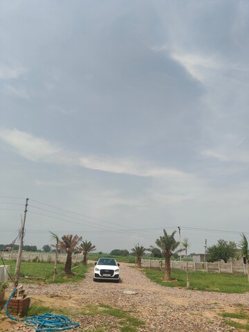  Plot – Exterior View View at Jattari - for Sale