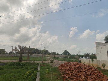 Plot Area in  Plot at Jattari – for Sale