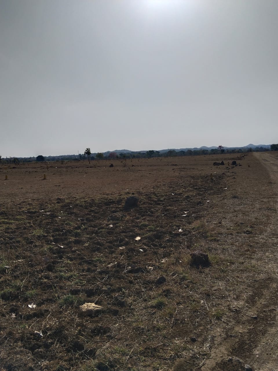 Plot For Sale in Shree Shyam Properties