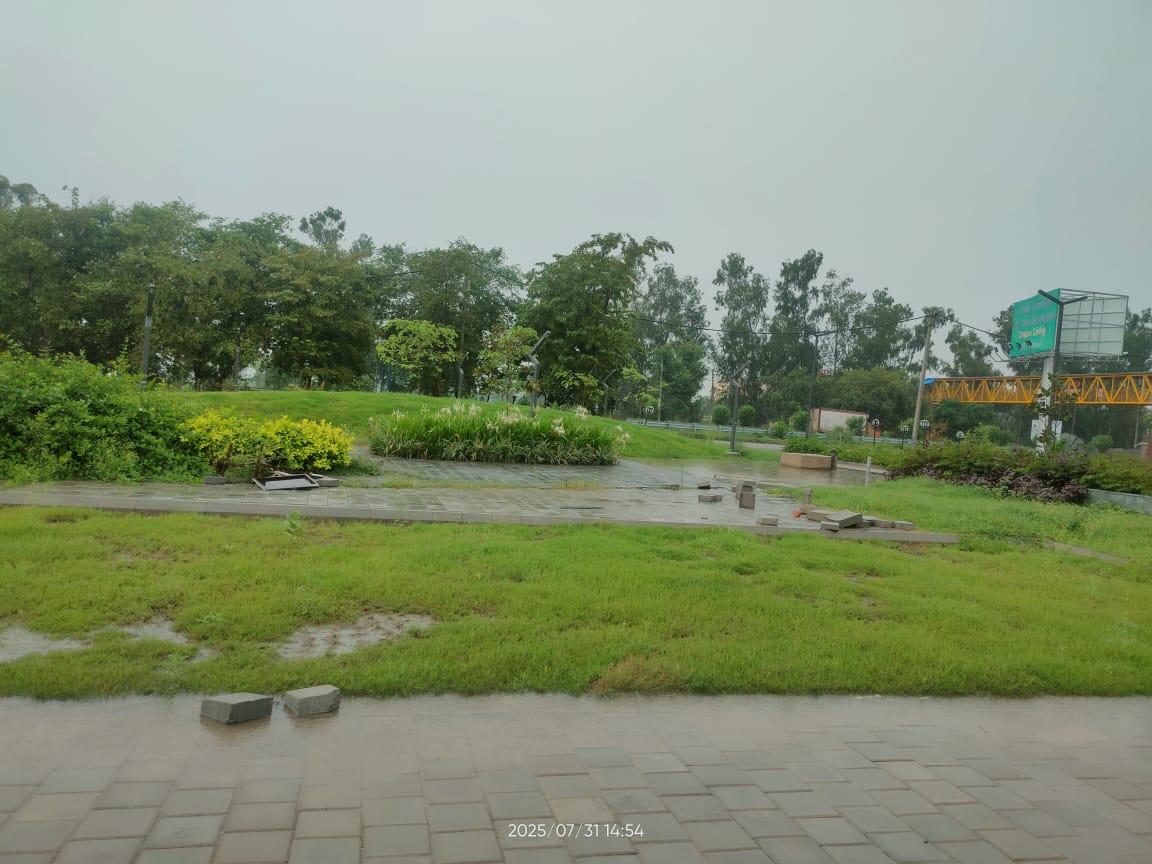 Plot For Sale in Sbp Plots Lalru 