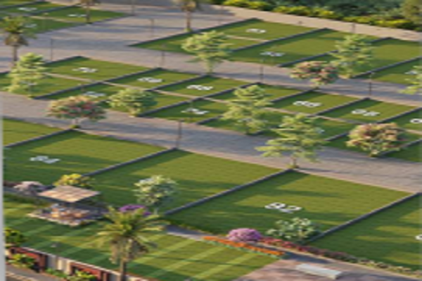Plot For Sale in Dholera